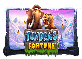 Tundra Fortune